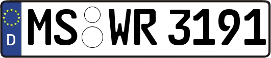 MS-WR3191