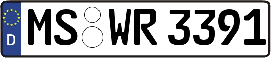 MS-WR3391