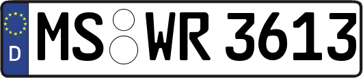 MS-WR3613