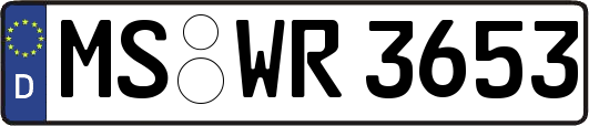 MS-WR3653