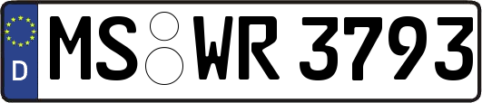 MS-WR3793