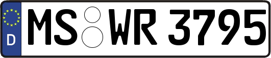 MS-WR3795