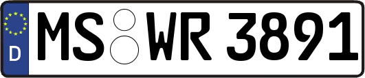 MS-WR3891