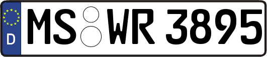 MS-WR3895