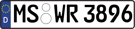 MS-WR3896