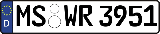 MS-WR3951