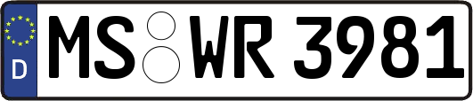 MS-WR3981