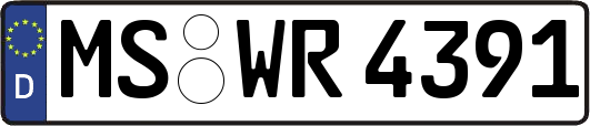MS-WR4391