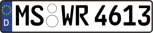 MS-WR4613