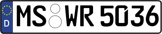 MS-WR5036
