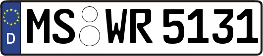 MS-WR5131
