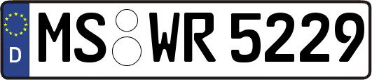 MS-WR5229