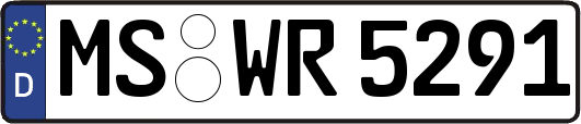 MS-WR5291