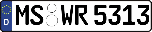 MS-WR5313