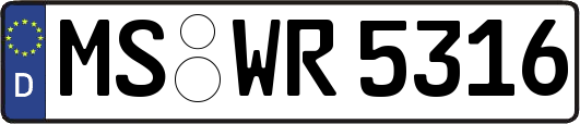 MS-WR5316