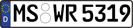 MS-WR5319