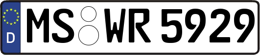 MS-WR5929