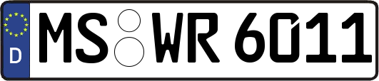 MS-WR6011