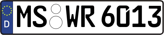 MS-WR6013