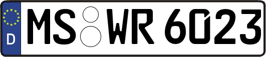 MS-WR6023