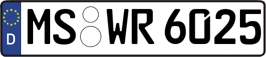 MS-WR6025