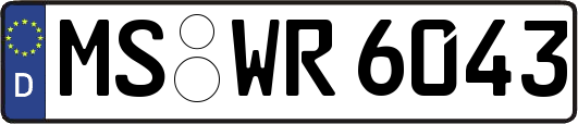 MS-WR6043