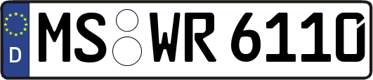 MS-WR6110