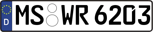 MS-WR6203