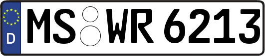 MS-WR6213