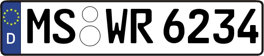 MS-WR6234