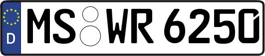 MS-WR6250