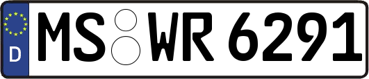 MS-WR6291