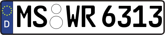MS-WR6313