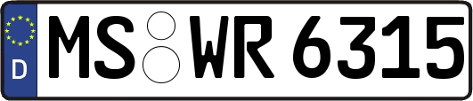 MS-WR6315