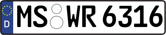 MS-WR6316