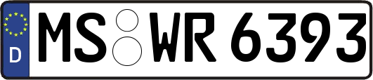 MS-WR6393