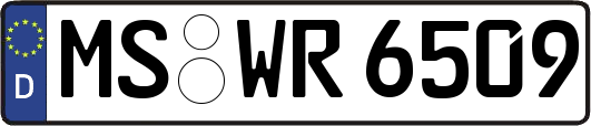 MS-WR6509