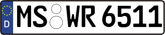 MS-WR6511