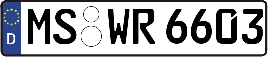 MS-WR6603