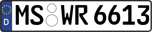 MS-WR6613