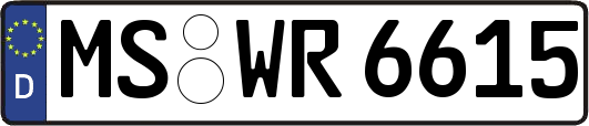 MS-WR6615