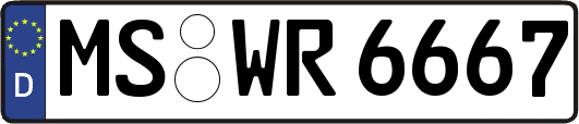 MS-WR6667