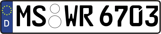 MS-WR6703