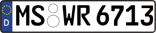 MS-WR6713