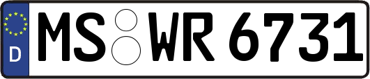 MS-WR6731