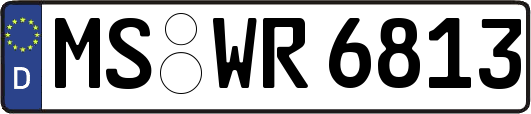MS-WR6813