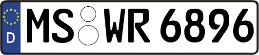 MS-WR6896