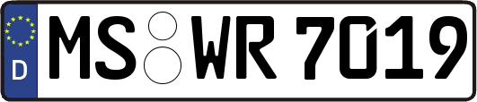 MS-WR7019