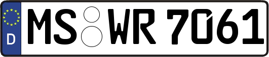 MS-WR7061