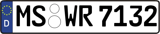 MS-WR7132